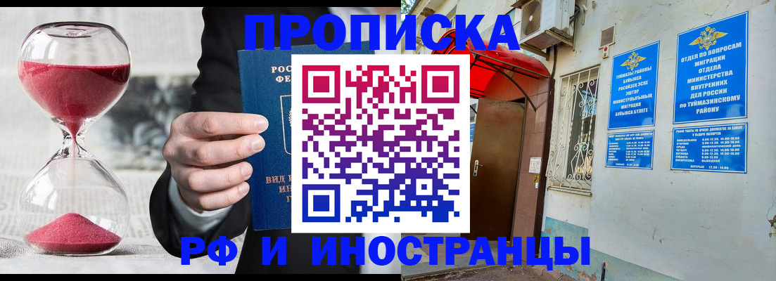 прописка 2025 в Мончегорске